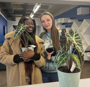 cow-obsessed-christabell-swart